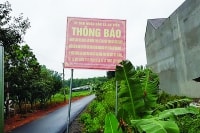 Bất động sản Long Thành: Báo động thông tin ảo