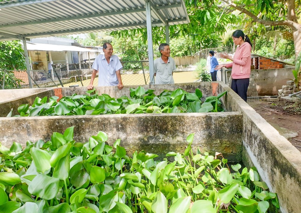 Rất nhiều người đến tham quan, học hỏi mô hình nuôi cua đinh, ba ba của bà Nguyệt.