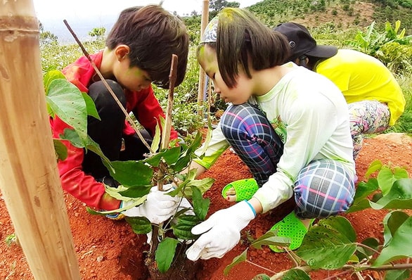 Những du khách nhí tham gia trồng rừng trong hành trình du lịch khám phá của Nguyễn Tử Anh - Ảnh: Tử Anh