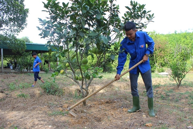 A3:Dự định sẽ là đầu mối cung cấp thực phẩm sạch cho các nhà hàng trên địa bàn Hà Tĩnh