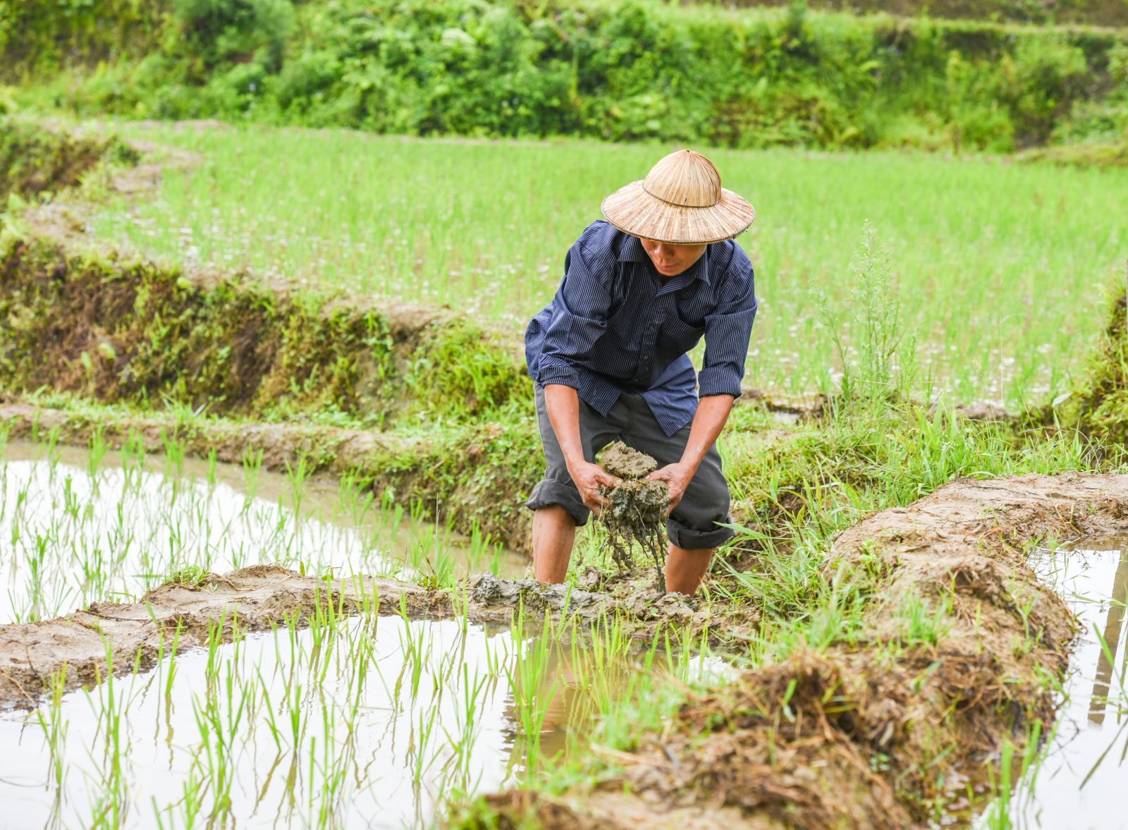 Với nguồn nước hiếm hoi, nên việc gia cố chân ruộng để giữ nước luôn được người dân quan tâm.