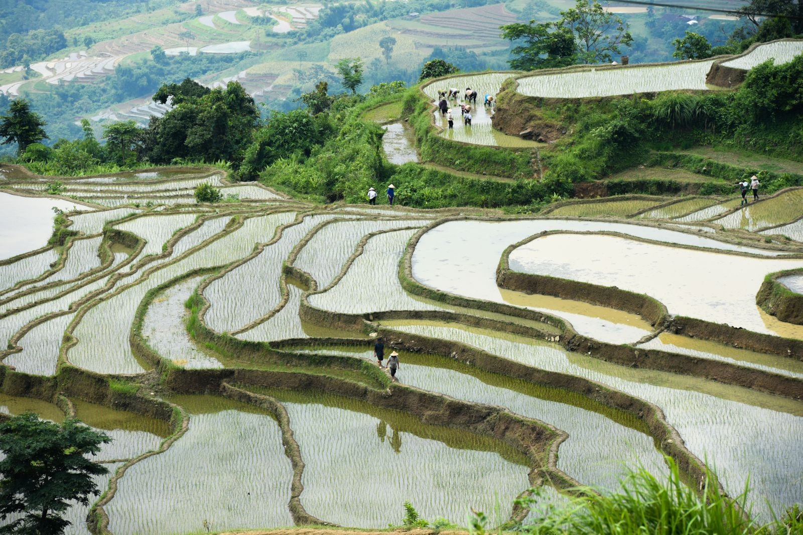 Những triền ruộng bậc thang đầy ắp nước từ những khe lạch nhỏ trên núi cao đổ về, lung linh như những tấm gương phản chiếu, nối dài tới tận chân trời. 