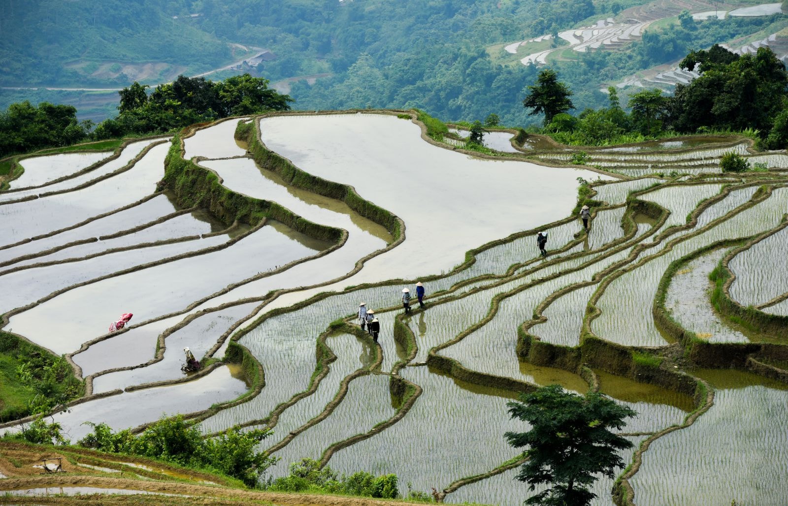 Hiện tổng diện tích ruộng bậc thang ở Hồng Thái là 82 ha, tập trung nhiều nhất tại các thôn: Khau Tràng 30 ha, Pắc Khoang 10 ha, Nà Mụ hơn 10 ha…