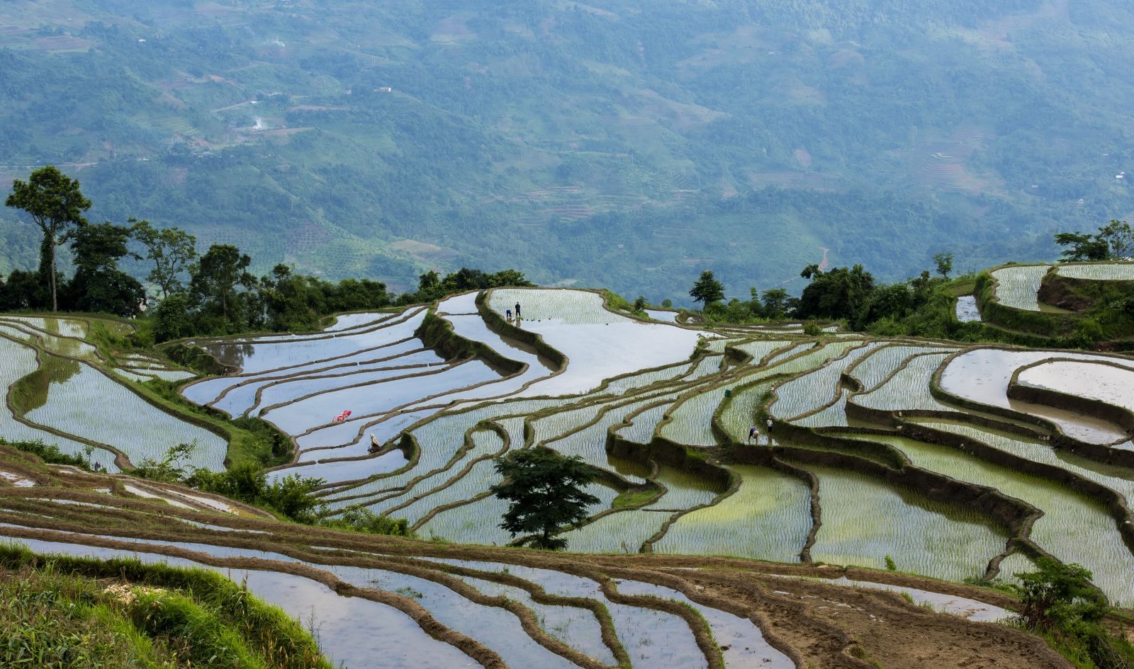 Ruộng bậc thang mùa cấy lúa hay còn gọi là mùa nước đổ đã và đang là một trong những sản phẩm du lịch độc đáo của Hồng Thái, thu hút du khách xa gần tới tham quan, chiêm ngưỡng. 