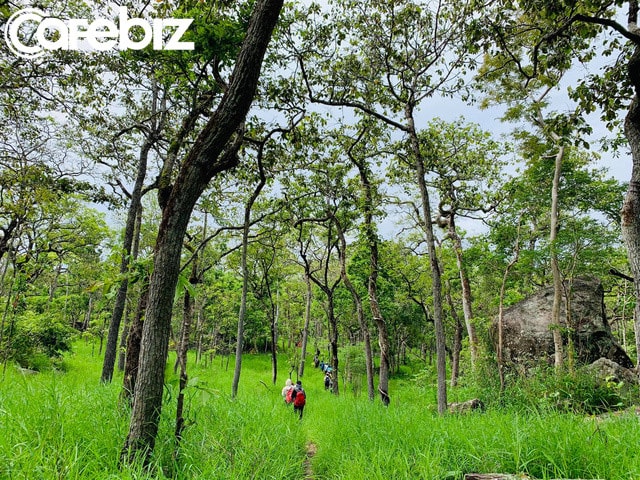Tour trekking ‘kinh điển’ như Tà Năng – Phan Dũng chỉn chu chính là thứ đầu tiền làm nên uy tín của BiTour.