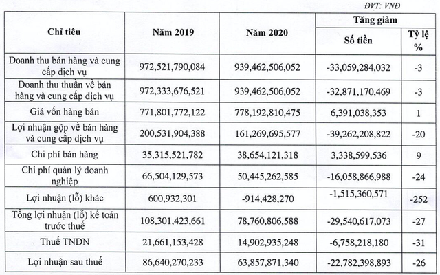 KQKD quý I/2020 của MSH.