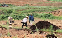 Truy tố hàng loạt cựu lãnh đạo ngân hàng BIDV liên quan vụ án Trần Bắc Hà