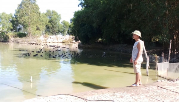 Anh Cường bên trang trại vịt trời của mình.