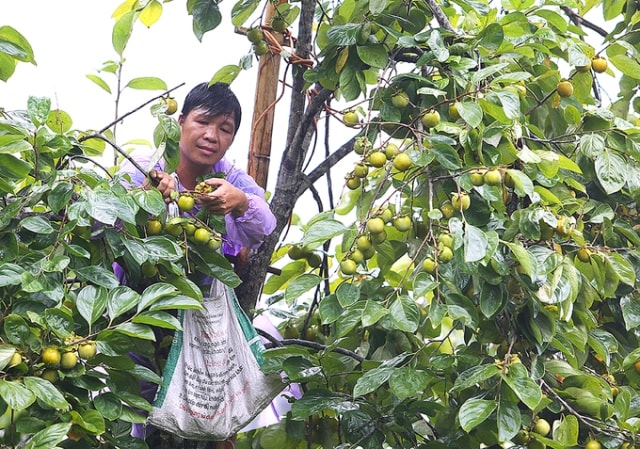 Quy trình, thủ tục để hưởng các chính sách ưu đãi đầu tư của trung ương, tỉnh còn khá phức tạp, khó tiếp cận