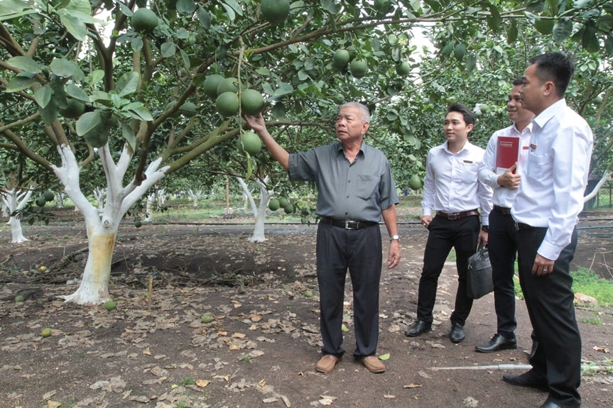 Nguồn vốn Agribank đầu tư phát triển 