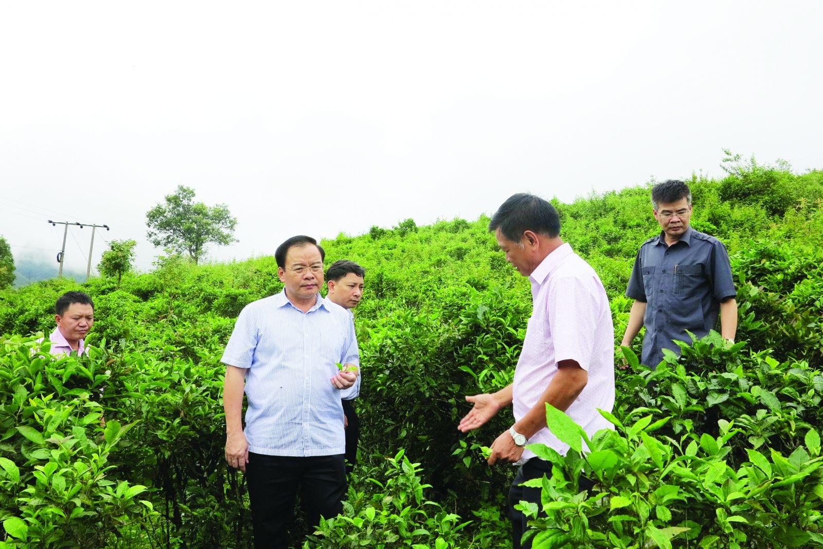 p/Ông Mùa A Sơn, Chủ tịch UBND tỉnh Điện Biên cùng Lãnh đạo một số sở ban ngành đi kiểm tra thực tế vùng nguyên 