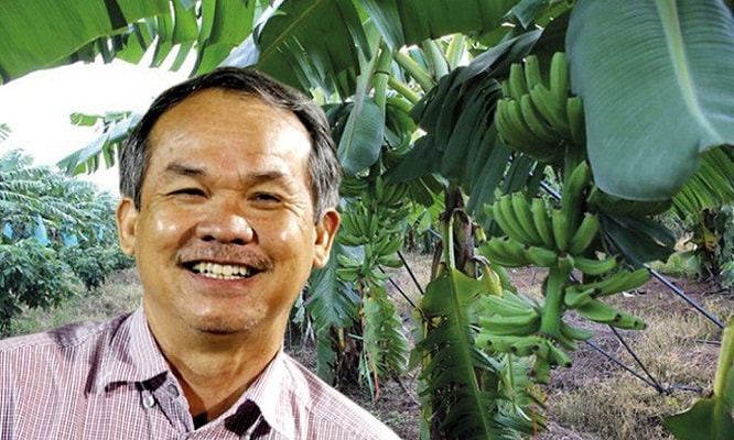 HAGL đã thay đổi chiến lược kinh doanh khi tái cấu trúc vườn cây cao su sang cây ăn trái và quyết định lấy thị trường Trung Quốc là điểm tựa để xuất khẩu trái cây.