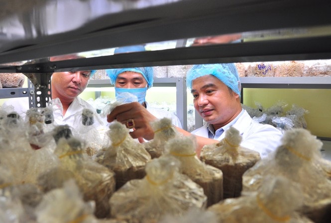 Lê Hải Nam ngoài cùng bên phải
