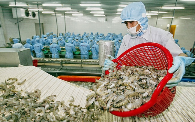 Hàn Quốc tăng nhập khẩu tôm sú chế biến từ Việt Nam