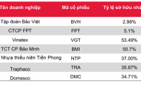 Cẩn trọng đầu tư cổ phiếu thoái vốn Nhà nước