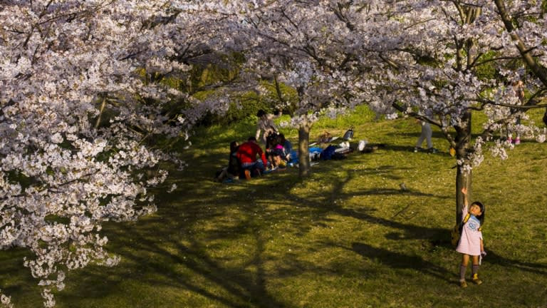 Tokyo được xem là điểm đến thân thiện với các doanh nhân nước ngoài, mặc