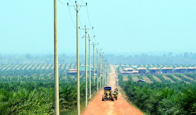 Khoản nợ khổng lồ của HAGL sau khi tái cơ cấu và đầu tư vào nông nghiệp đã cho thấy, dù làm ăn bài bản căn cơ thì nông nghiệp vẫn là một canh bạc lớn đối với nhiều đại gia.