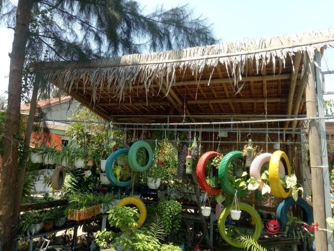 Lốp xe, chai thuỷ tinh bỏ đi được bàn tay anh Thắng 'nhào nặn' thành chậu trồng cây xanh 