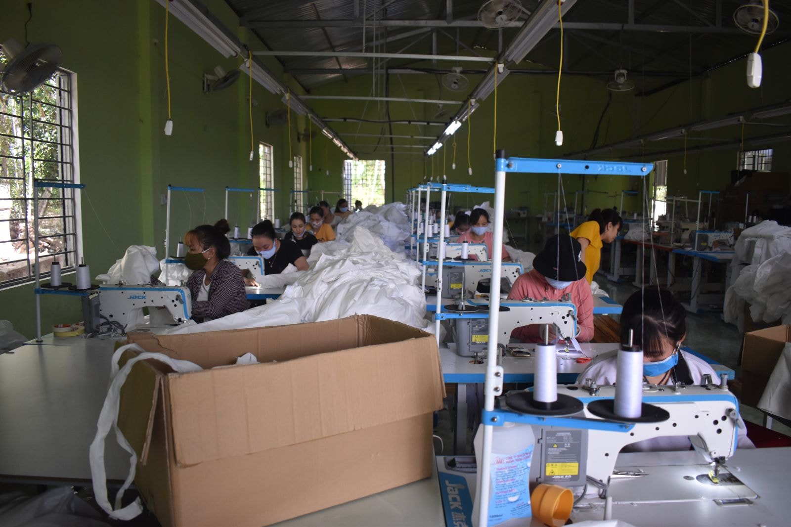 Công ty tạo việc làm cho hơn 30 lao động