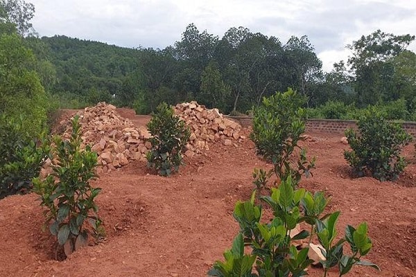Hàng chục ha rừng bị san lấp