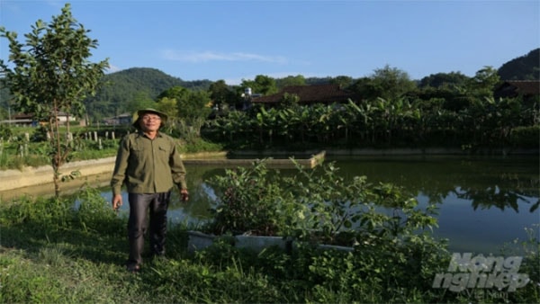 Trải qua những những thất bại, khó khăn ban đâu, đến nay mô hình VAC của ông Ma Văn Lê đã có giá trị hàng tỷ đồng. Ảnh: Văn Tiệp.