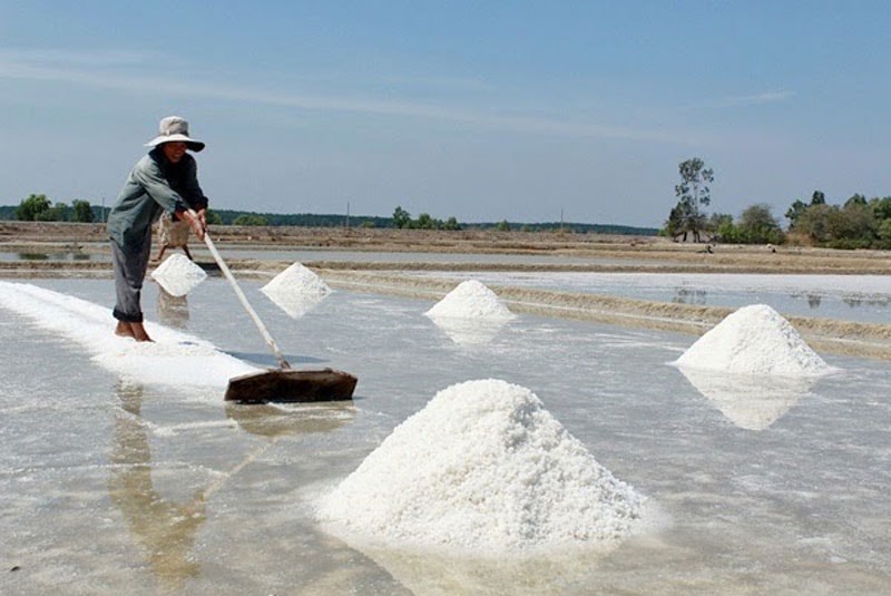 Sản xuất muối ở Bạc Liêu.