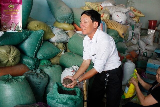 Nhờ quá trình nghiên cứu, tìm hiểu, ông Phan Văn Hòa đã lai tạo ra giống lúa tím thảo dược chứa nhiều dinh dưỡng có lợi cho sức khỏe