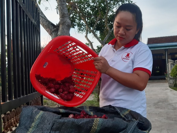 Chị Hiền là chủ cơ sở sản xuất và chế biến Hichagol - Ảnh: Đức Tài