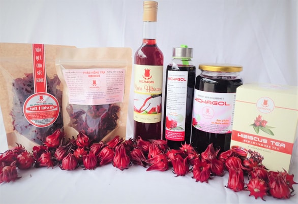 Những sản phẩm chế biến từ cây atiso đỏ - Ảnh: Đức Tài
