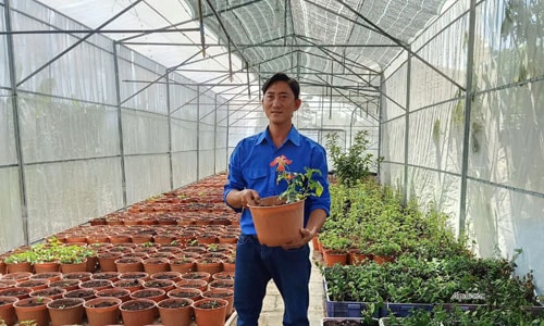Anh Trần Thanh Quý bên vườn cây nhân sâm của mình.