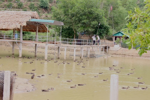 Khát khao làm giàu trên quê hương của mình luôn cháy bỏng trong vợ chồng anh Đức và họ đã từng bước làm được điều đó