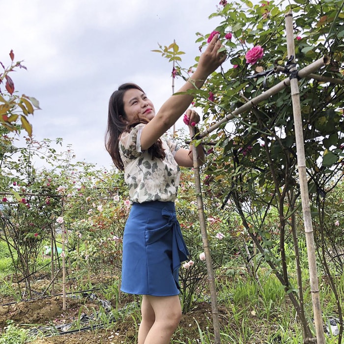 Với khát vọng làm giàu trên mảnh đất quê hương, Đoàn Thu Trà, một cô gái người Tày sinh năm 1991, đã ứng dụng công nghệ 4.0 - nông nghiệp thông minh vào mô hình trang trại dâu tây và hoa hồng.