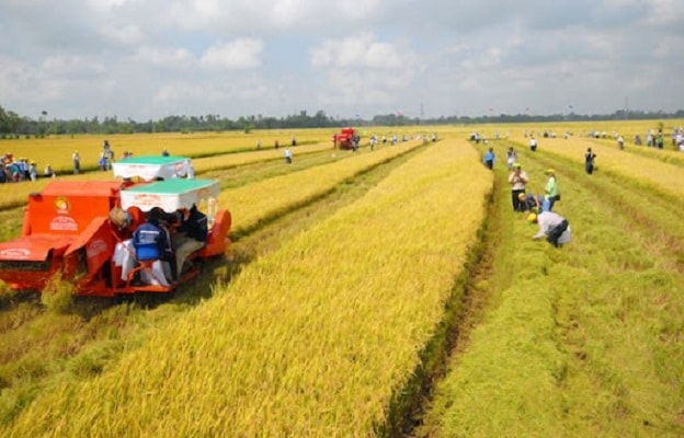 Mặc dù đã có nhiều chính sách khuyến khích, nhưng theo Cục Công nghiệp, ngành cơ khí nông nghiệp của nước ta vẫn gặp nhiều khó khăn.