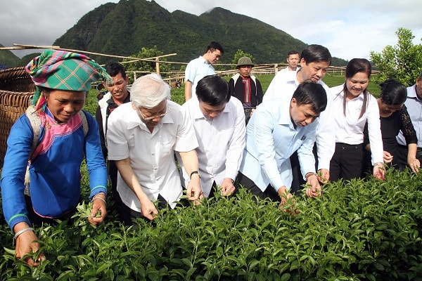 Tổng Bí Thư Nguyễn Phú Trọng cùng đoàn công tác về tham quan nhà máy và vùng nguyên liệu của công ty CP Đầu tư Phát triển Chè Tam Đường