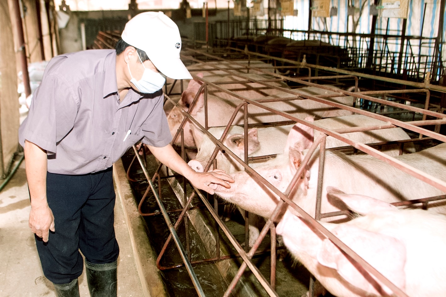 p/Để tạo dấu ấn chuyển dịch trong nông nghiệp cần một doanh nghiệp đứng ra làm đầu tàu.