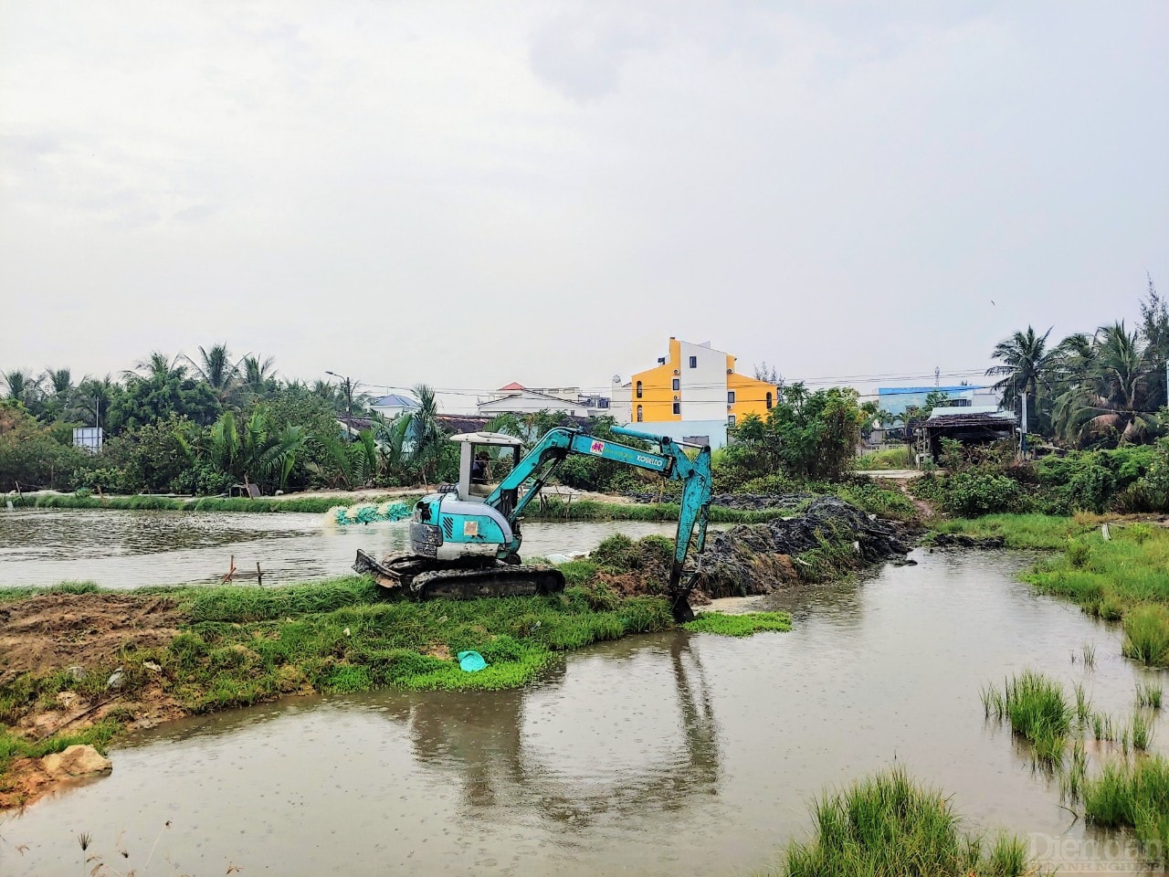 Gia cố bờ đắp để tránh sạt lở, tràn nước.