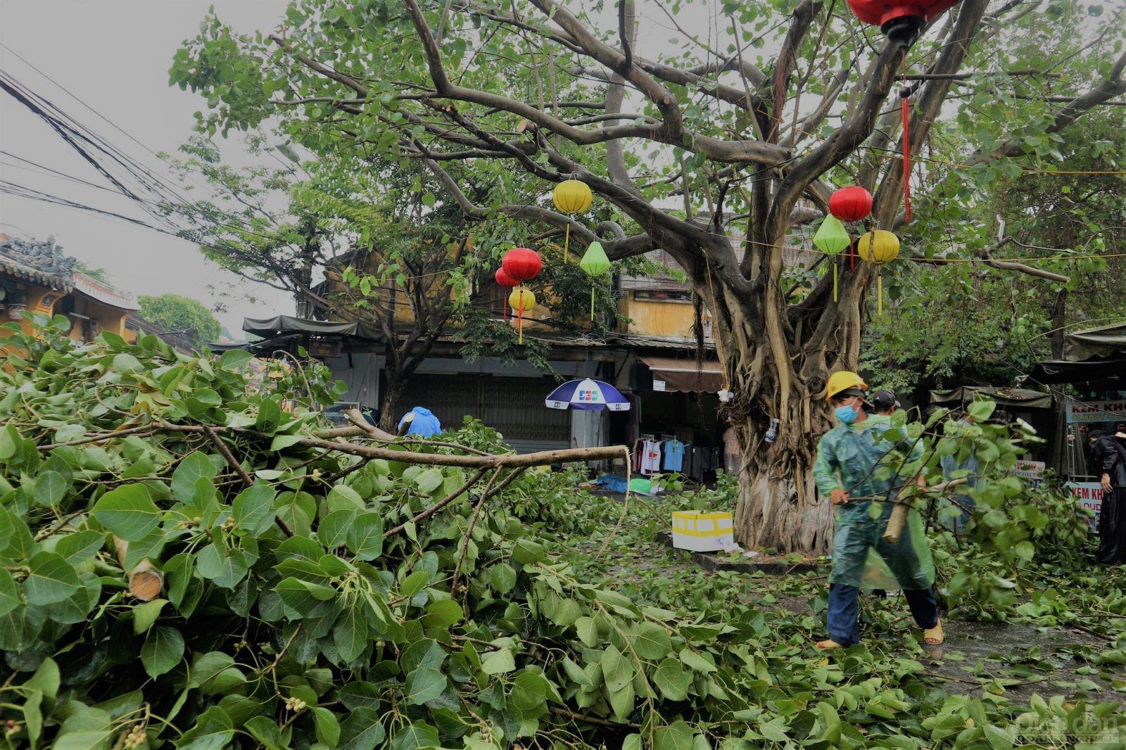 Các địa phương gấp rút triển khai công tác phòng, chống bão.