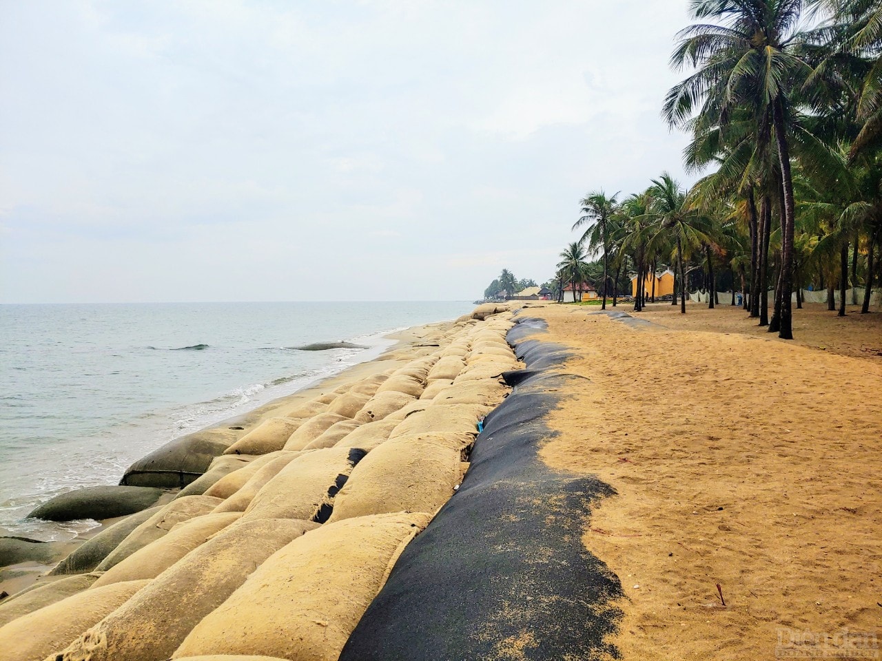 Người Hội An lo lắn cho bờ biển Cửa Đại sẽ sạt lở khi bão vô.