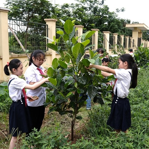 Hành động của chúng ta hôm nay không chỉ là bảo vệ môi trường sống của chính mình mà còn nhằm gìn giữ cho thế hệ tương lai.p/