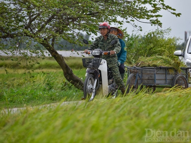 Vợ chông