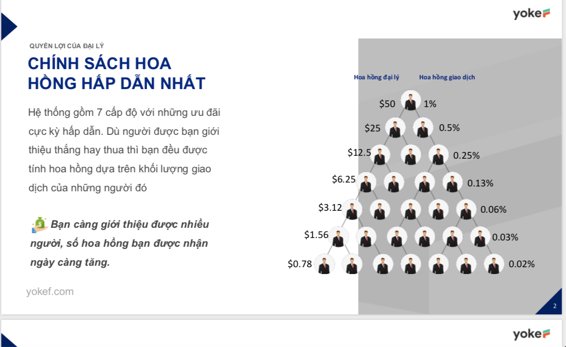 Càng giới thiệu được nhiều người, số hoa hồng nhận được ngày càng tăng và mỗi đại lý đều có thể dễ dàng quản lý số liệu, thông tin mạng lưới của mình trên tài khoản