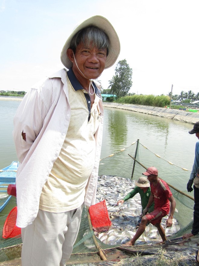Ông Vân bên một lưới cá vừa thu hoạch