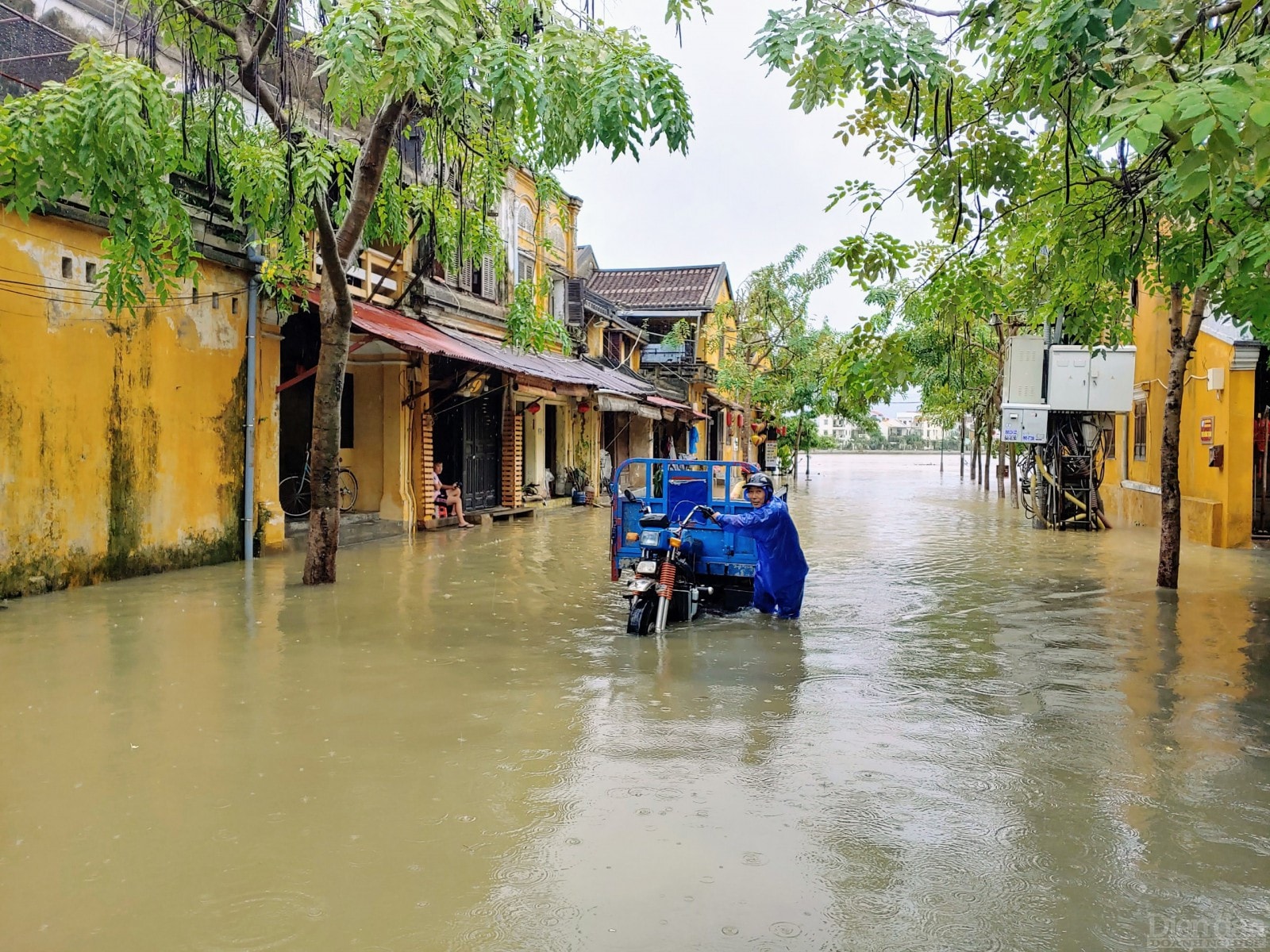 Chở hàng từ các khu vực đã ngập nước.