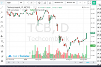 Cổ phiếu TCB được giới đầu tư săn đón vì đâu?