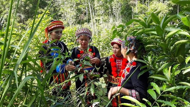 Dự án 
