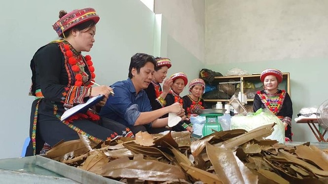 Các chuyên gia tư vấn, hướng dẫn với nhóm phát triển sản phẩm.