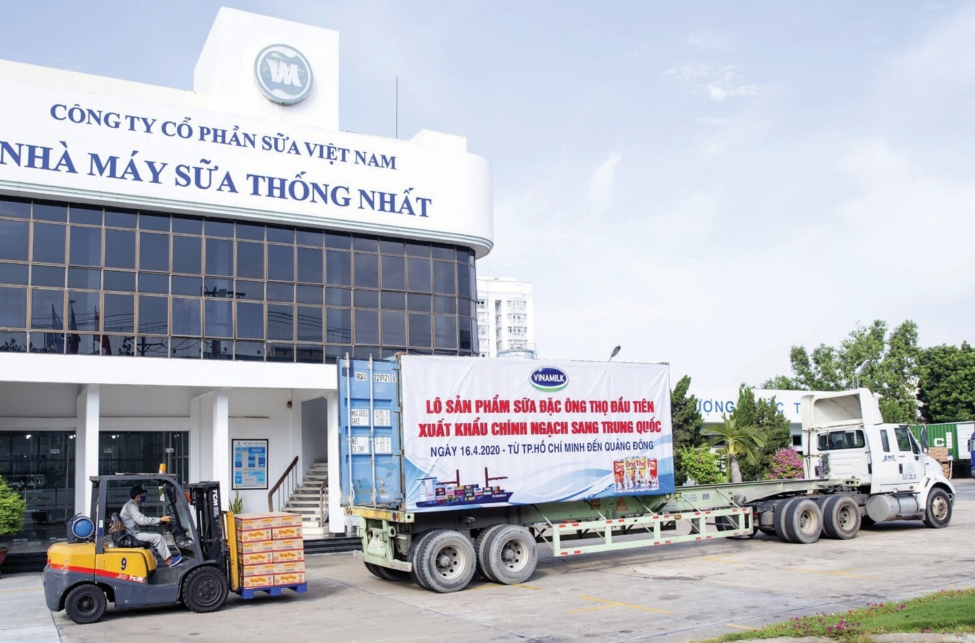 Lô sản phẩm sữa đặc Ông Thọ của Vinamilk được đưa vào container xuất đi Trung Quốc ngay trong dịch COVID-19. Ảnh: VNM.