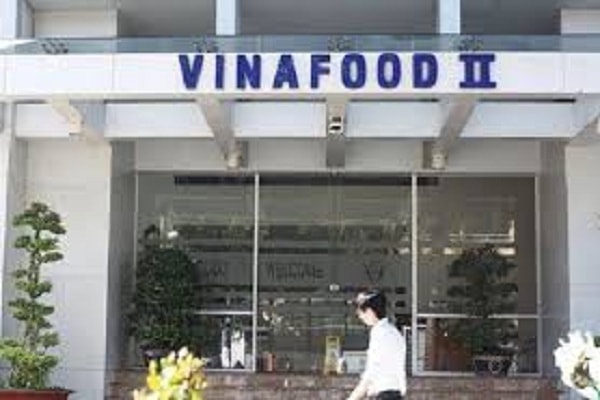 Áp lực cạnh tranh lớn ở cả thị trường trong nước và quốc tế, cộng với giá lúa giảm và khoản trích lập dự phòng lớn, khiến VSF khó có cơ hội thoát lỗ.