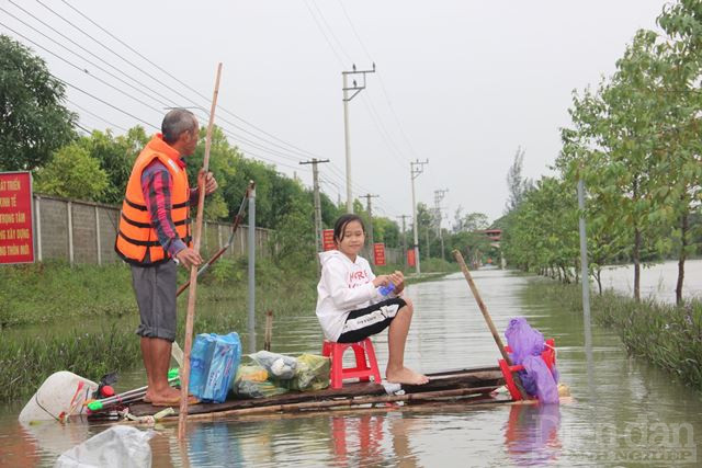 Người dân kết bè làm phương tiện di chuyển