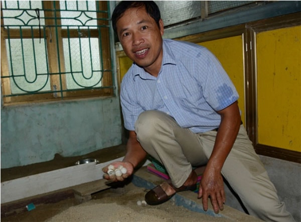 Trong nhà ấp trứng.